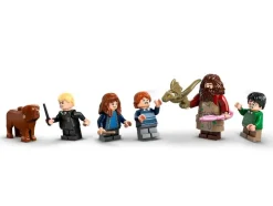 76428 Hagrids huisje: onverwacht bezoek