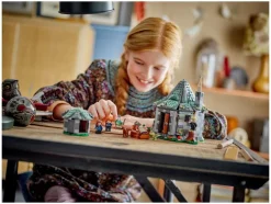 76428 Hagrids huisje: onverwacht bezoek