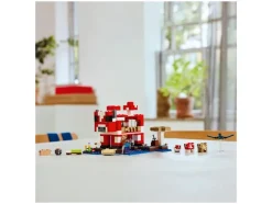 21270 Het Mooshroom huis