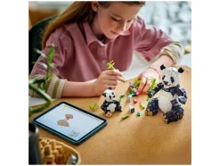 31165 Wilde dieren: pandafamilie