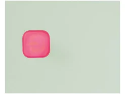 Accu-smoothiemaker to go