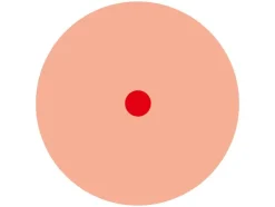 Bouw-/houtvochtmeter of infraroodthermometer