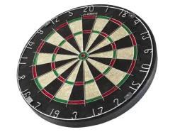 Dartbord