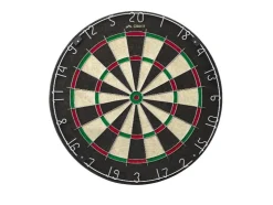 Dartbord