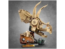 Dinosaurusfossielen: Triceratops schedel 76969