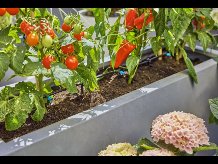 Druppelirrigatie voor de tuin Micro-Drip-System