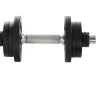 Dumbbell 10 kg