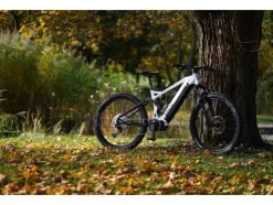 Elektrische mountainbike Dice 5.0