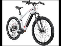 Elektrische mountainbike Z898