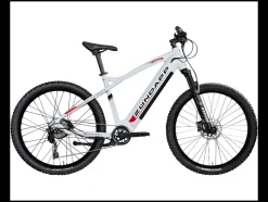 Elektrische mountainbike Z898