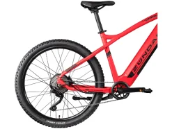 Elektrische mountainbike Z898
