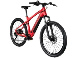 Elektrische mountainbike Z898