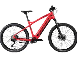 Elektrische mountainbike Z898