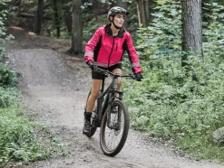 Elektrische mountainbike PEAK 709