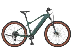 Elektrische mountainbike DICE 1.0