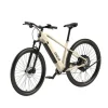 Elektrische mountainbike DICE 2.0