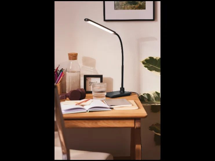 Flexibele bureaulamp