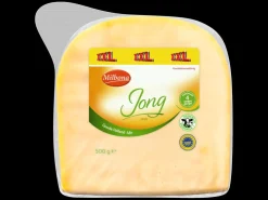 Gouda jong stuk of extra belegen plakken