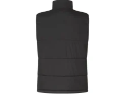 Heren thermo bodywarmer