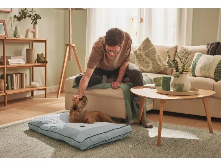 Hondenbed 90 x 60 cm