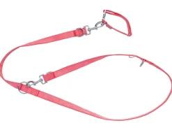 Hondenhalsband en riem