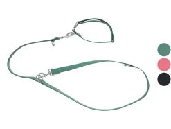 Hondenhalsband en riem