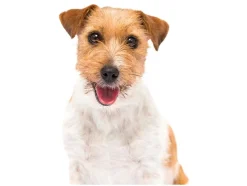 Hondentuigje Supersoft