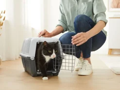 Kattenbak of transportbox