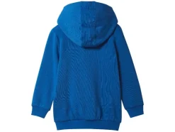 Kinder trui of hoodie Disney