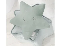 Knuffel- en sierkussen