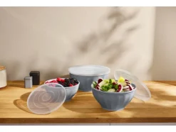 Kommen set met deksel