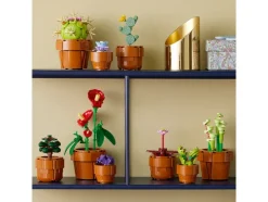 Miniplantjes - 10329