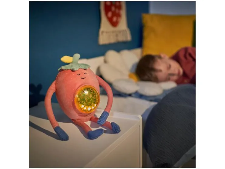 Nachtlampje Barnabé