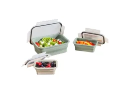Opvouwbare vershoudbakjes of lunchbox