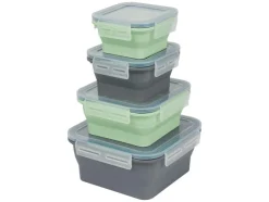 Opvouwbare vershoudbakjes of lunchbox