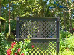 Plantenbak met klimrek