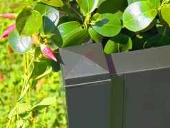 Plantenbak met klimrek