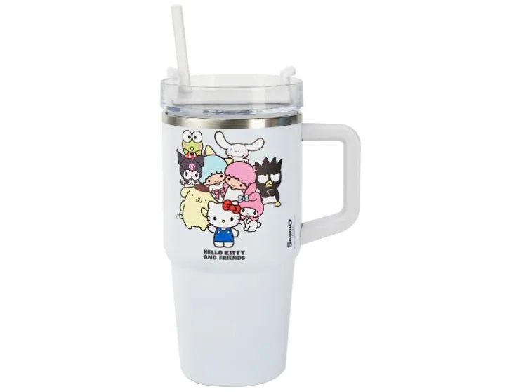 RVS drinkfles 590 ml