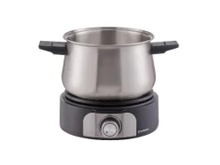 RVS elektrische fonduepan