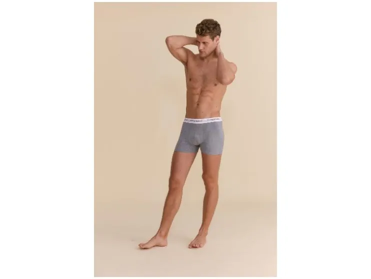 Set van 2 heren boxers