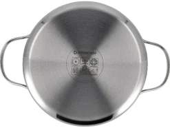 Set van 5 RVS pannen