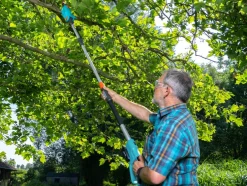 Telescopische accu-takkenzaag TCS 20/18V P4A