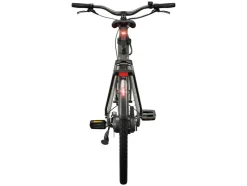 Urban E-bike Olive Green 2.0 X riemaandrijving