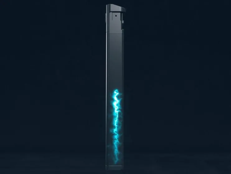 Urban elektrische fiets 3.0 X riemaandrijving