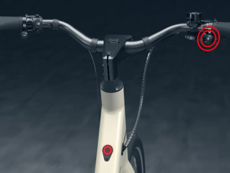 Urban elektrische fiets 3.0 X riemaandrijving