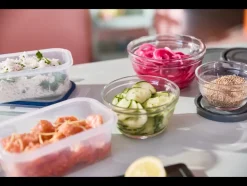 Vershoudbakjes met klikdeksel