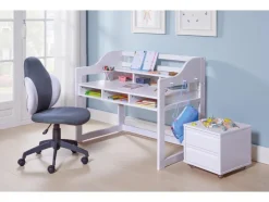Verstelbaar bureau Kids Learning
